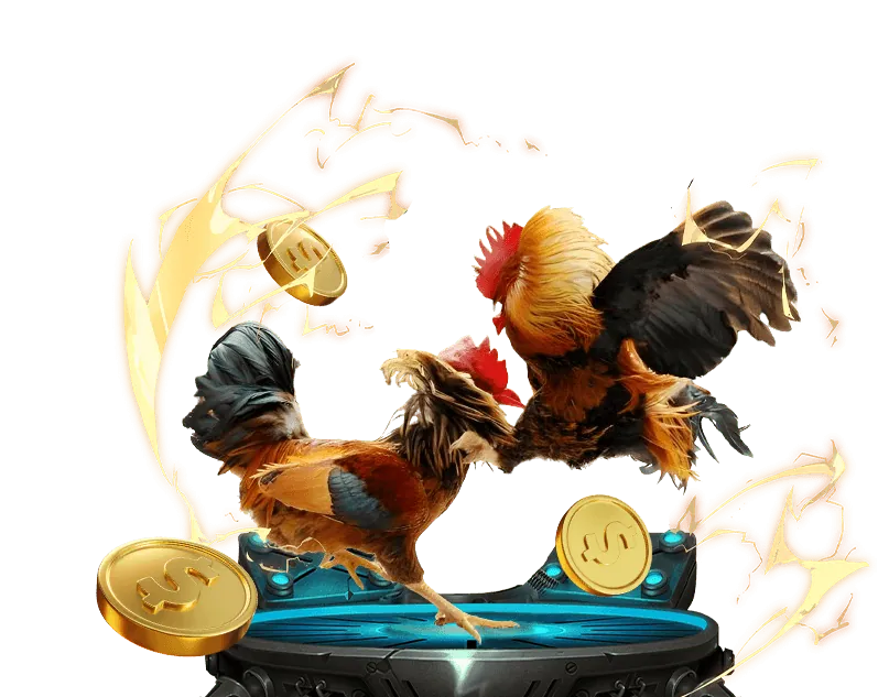 Lịch sử và sứ mệnh của rr99 nhà cái